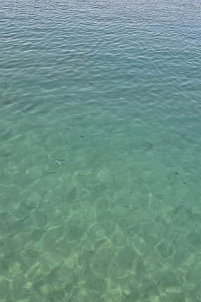 IMG-20260125-WA0018 null